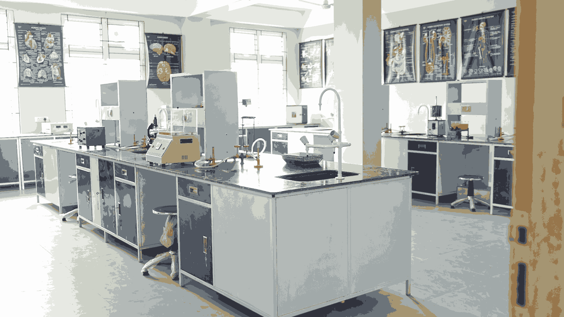 Pragjyotishpur University Guwahati Pharmacology lab photo 9